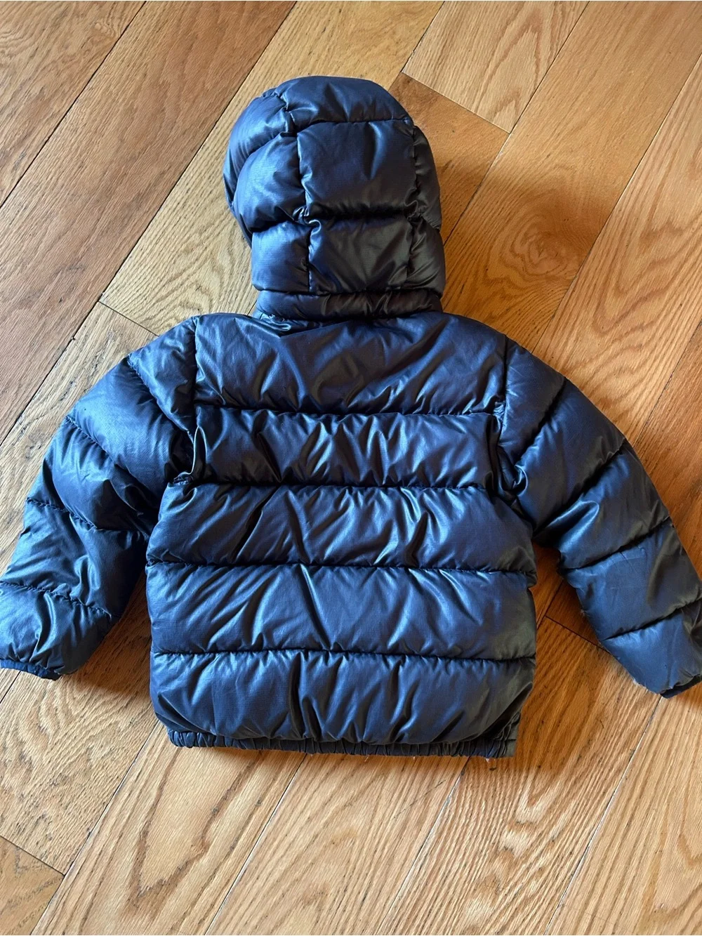 Patagonia Red Puffy Jacket with Multicolor Logo